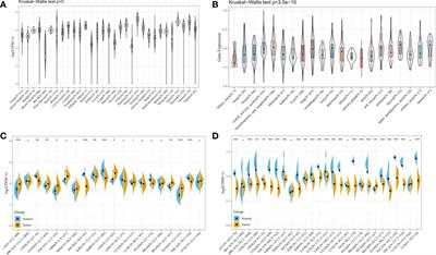 Aggresome–Autophagy Associated Gene HDAC6 Is a Potential Biomarker in Pan-Cancer, Especially in Colon Adenocarcinoma